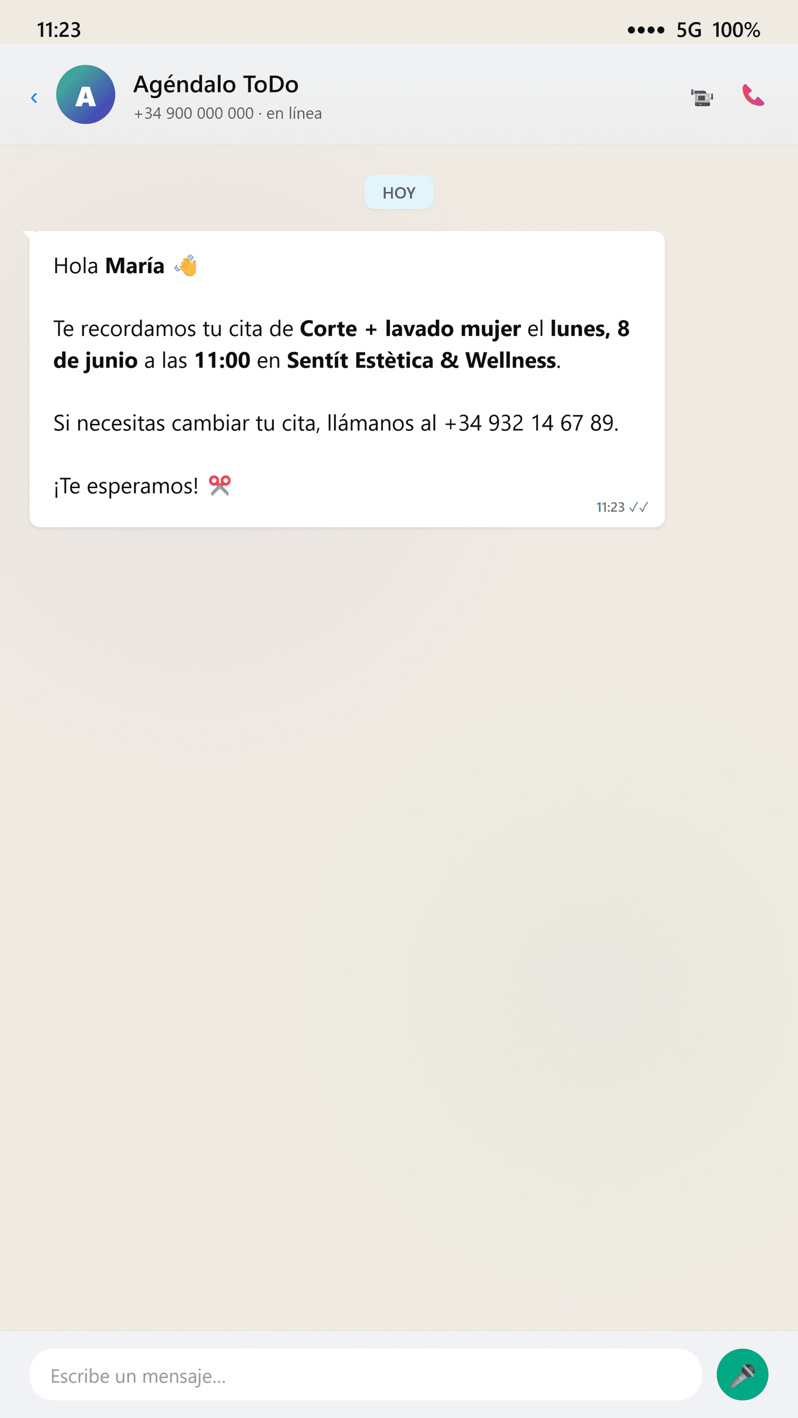 Recordatorios por WhatsApp - Vista móvil