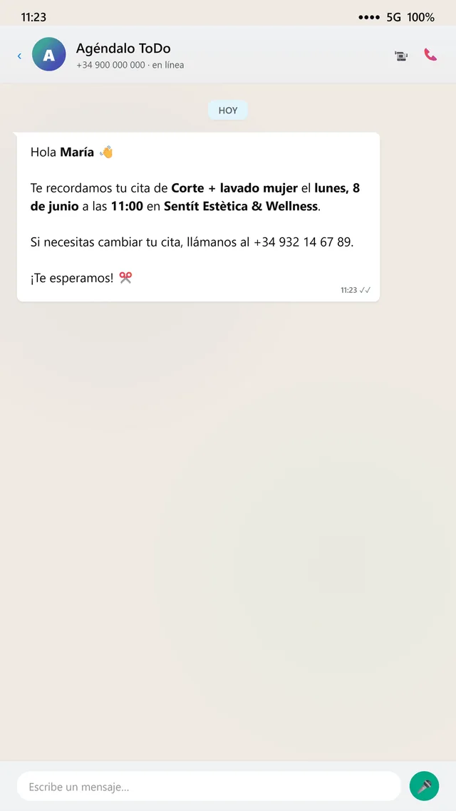 Recordatorios por WhatsApp